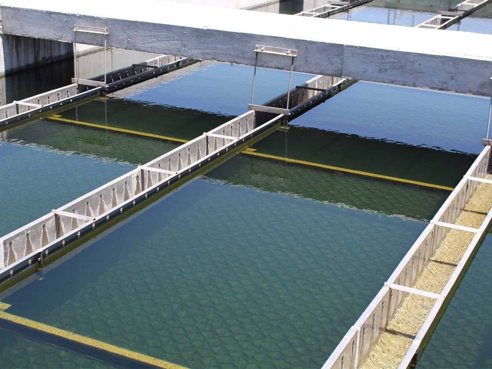 servicio-agua-potable